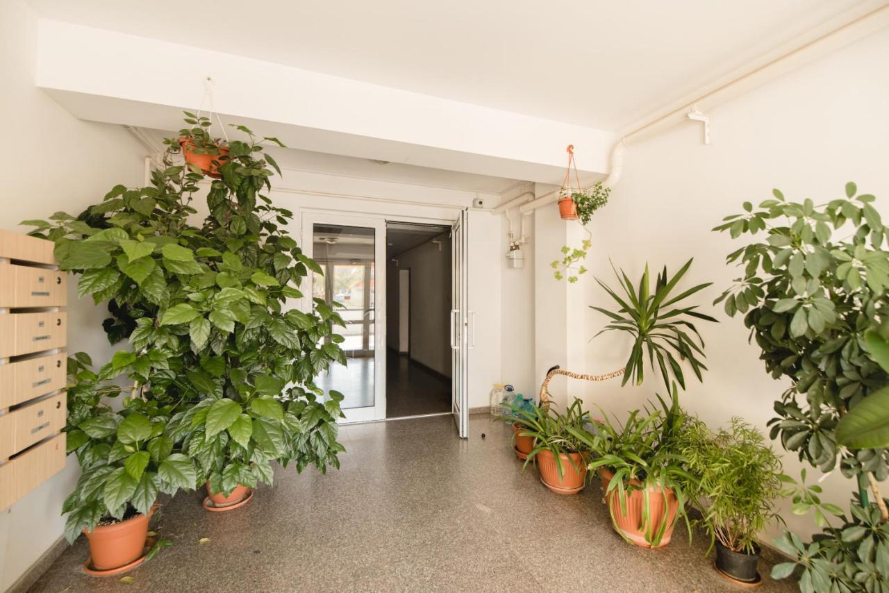 Tampa Apartament Brașov